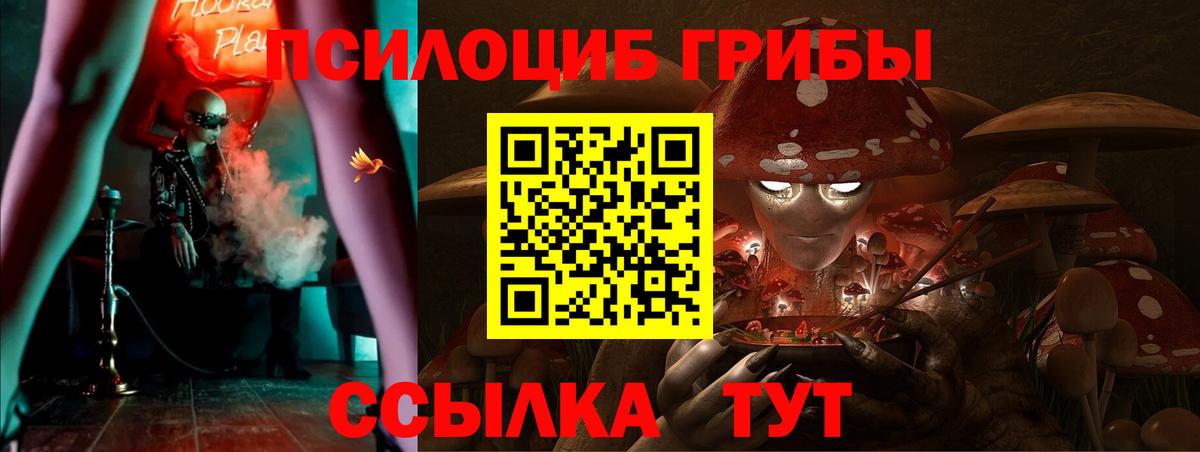 Псилоцибиновые грибы Psilocybine cubensis  Вход с VPN  Екатеринбург 